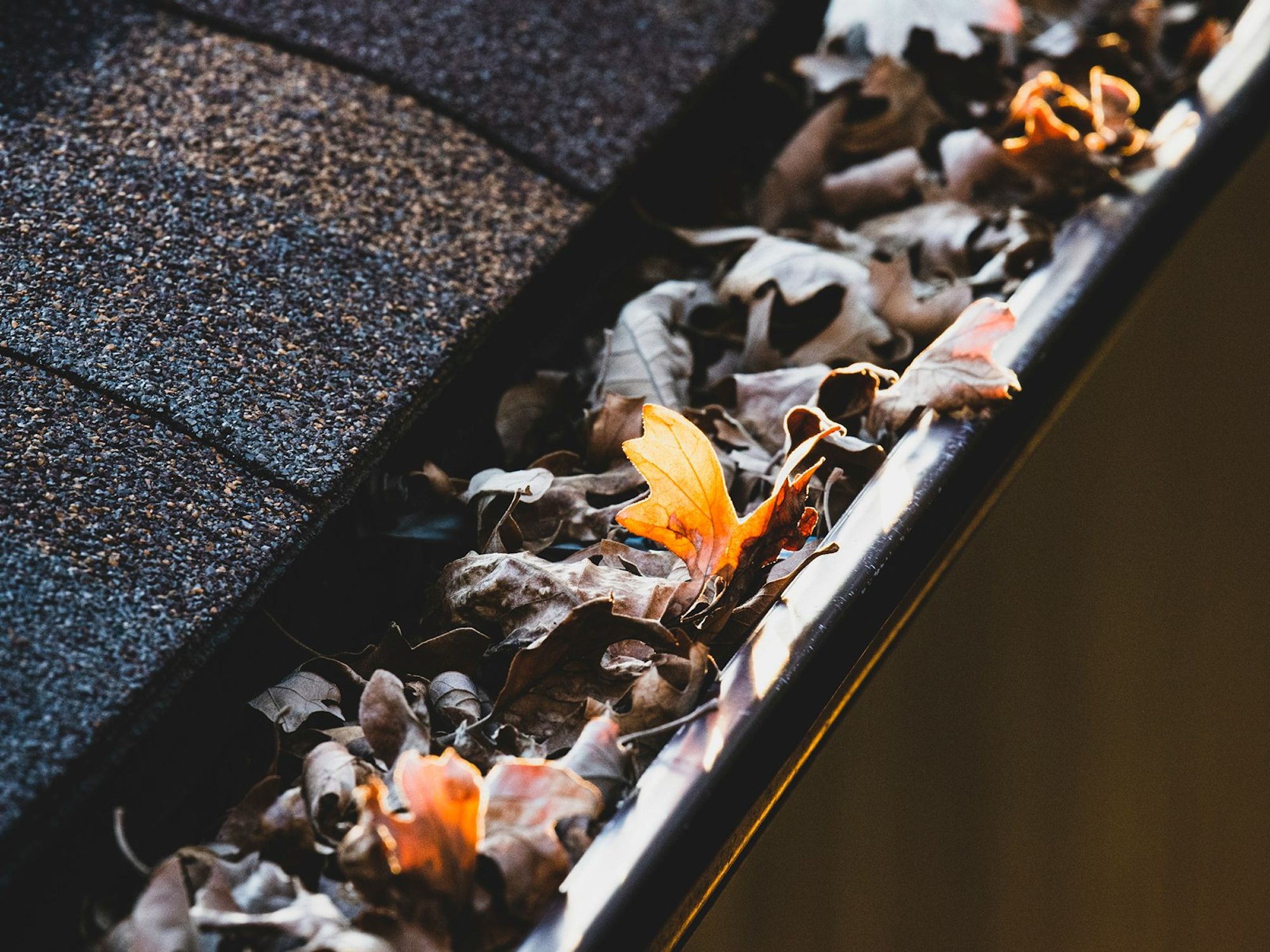 Gutter cleaning service in progress